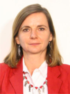 Directora de Acceso a Microdatos, INEGI
